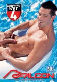 Dripping Wet 4 movie poster