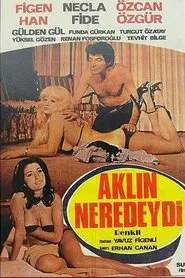 Poster do filme Aklın Neredeydi
