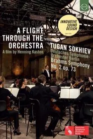 A Flight Through the Orchestra movie poster