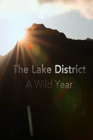 A Wild Year tv show poster