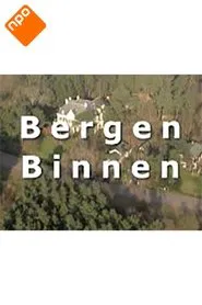 Poster da série Bergen Binnen
