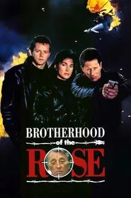 Poster da série A Irmandade da Rosa