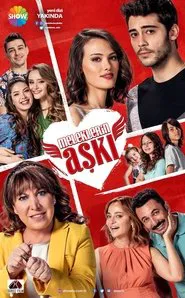 Dreaming Of You tv show poster