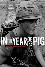 In the Year of the Pig movie poster