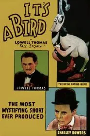 Poster do filme It's a Bird