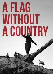 A Flag Without a Country movie poster