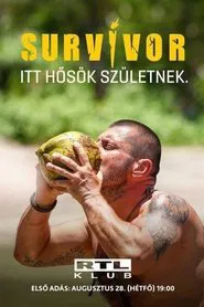 Poster da série Survivor