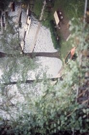 Spring, wenn du kannst movie poster