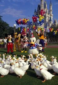 Donald Duck's 50th Birthday movie poster