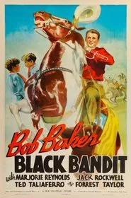 Black Bandit movie poster