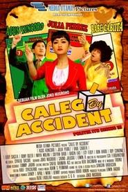 Caleg By Accident movie poster