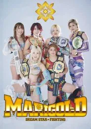 Poster da série Dream Star Fighting MARIGOLD