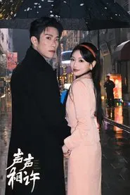 声声相许 tv show poster
