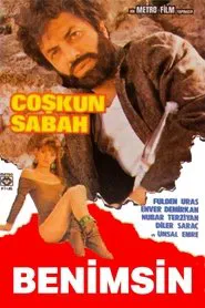 Benimsin movie poster