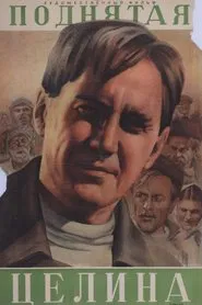 The New Land movie poster