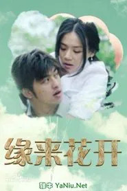 缘来花开 movie poster