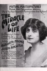 The Miracle of Life movie poster