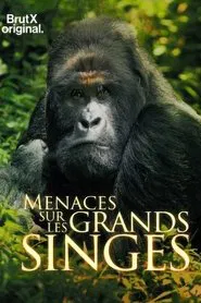 En danger : menaces sur les grands singes movie poster