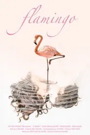 Poster do filme Flamingo