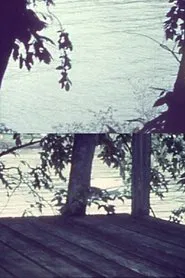 Silently, Bearing Totem of a Bird movie poster