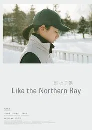 Like the Northern Ray movie poster
