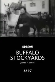 Buffalo Stockyards movie poster