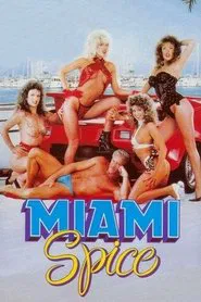 Miami Spice movie poster