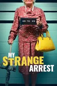 My Strange Arrest tv show poster