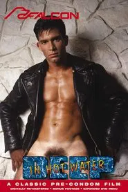 Deep In Hot Water movie poster