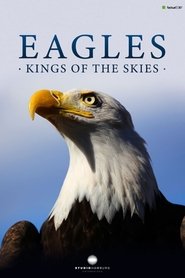 Eagles - Kings of the skies movie poster