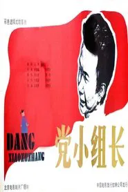 党小组长 movie poster