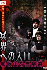 Intense! Forbidden Haunted Spots - Gateway to the Underworld: Wakayama Resentful Spirit Tunnel movie poster