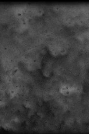 Pillager movie poster