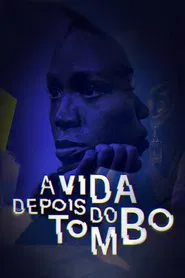 A Vida Depois do Tombo tv show poster