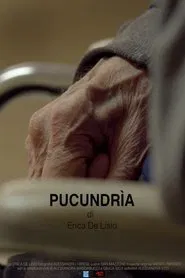Pucundrìa movie poster