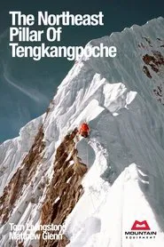 The Northeast Pillar Of Tengkangpoche movie poster
