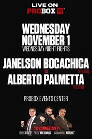 Janelson Bocachica vs. Alberto Palmetta movie poster
