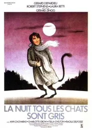 Poster do filme At Night All Cats Are Crazy
