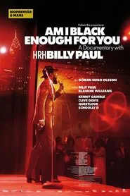 Am I Black Enough for You movie poster
