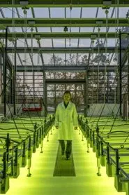 The Two Faces of Tomorrow movie poster