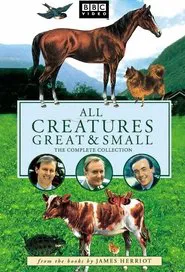 All Creatures Great and Small tv show poster