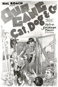 Cat, Dog & Co. movie poster