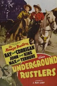 Poster do filme Underground Rustlers