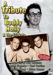 A Tribute To Buddy Holly And The Crickets movie poster