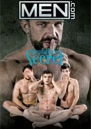 Stepfather's Secret movie poster