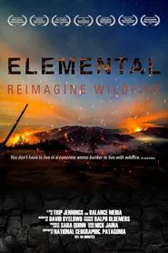 Elemental: Reimagine Wildfire movie poster