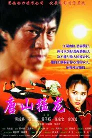 Dragon the Master 2 movie poster