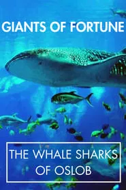 Giants of Fortune: The Whale Sharks of Oslob movie poster