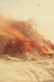 Scenes from an Island movie poster