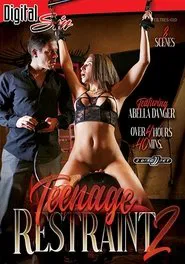 Teenage Restraint 2 movie poster